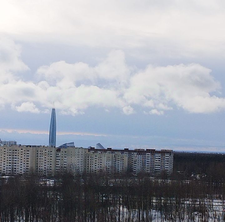 квартира г Санкт-Петербург метро Комендантский Проспект ул Нижне-Каменская 26 фото 10