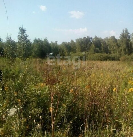 земля садовое товарищество Надежда-1 фото