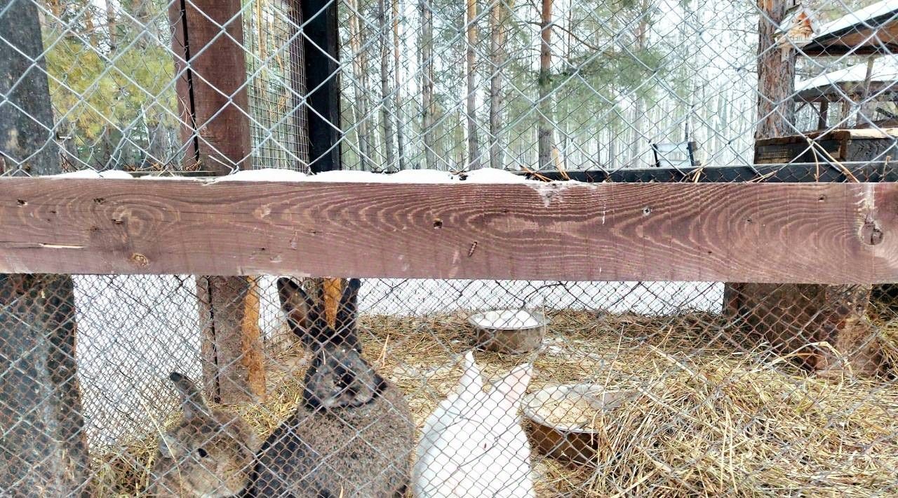 земля р-н Новосибирский Кубовинский сельсовет, Лаки Парк кп, ул. Фамильная фото 7