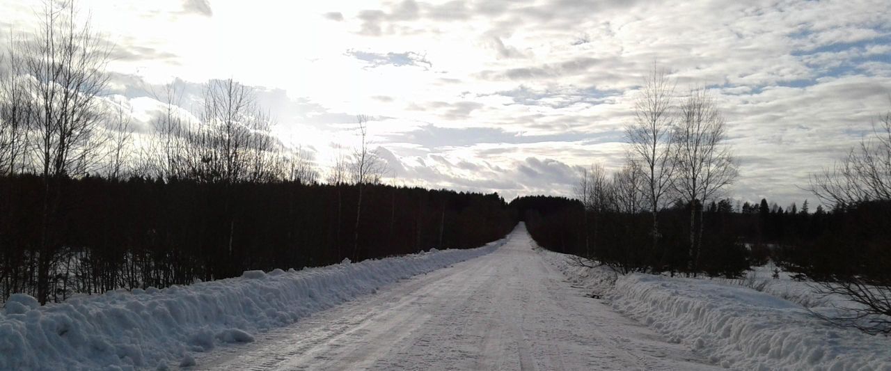 земля р-н Переславский д Рушиново Переславль-Залесский городской округ фото 4