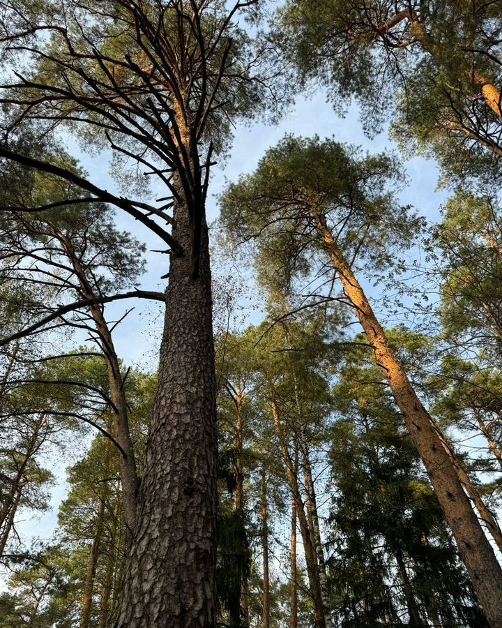 дом городской округ Одинцовский д Маслово 20 км, Красногорск, Ильинское шоссе фото 28