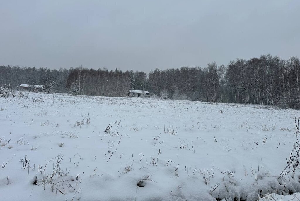 земля городской округ Истра д Вельяминово Нахабино фото 23