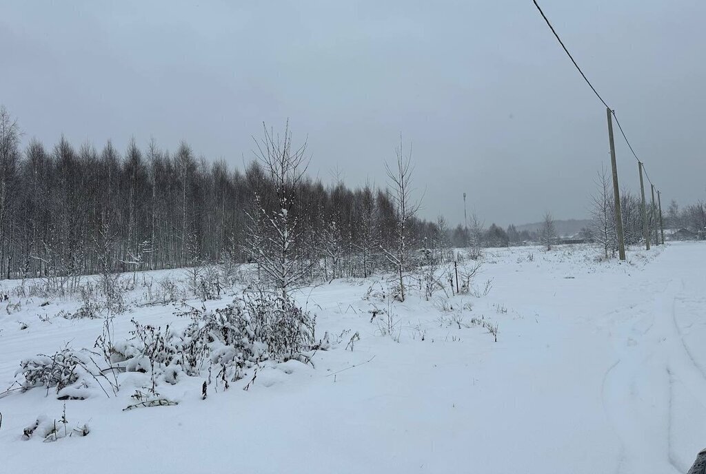 земля городской округ Истра д Вельяминово Нахабино фото 28