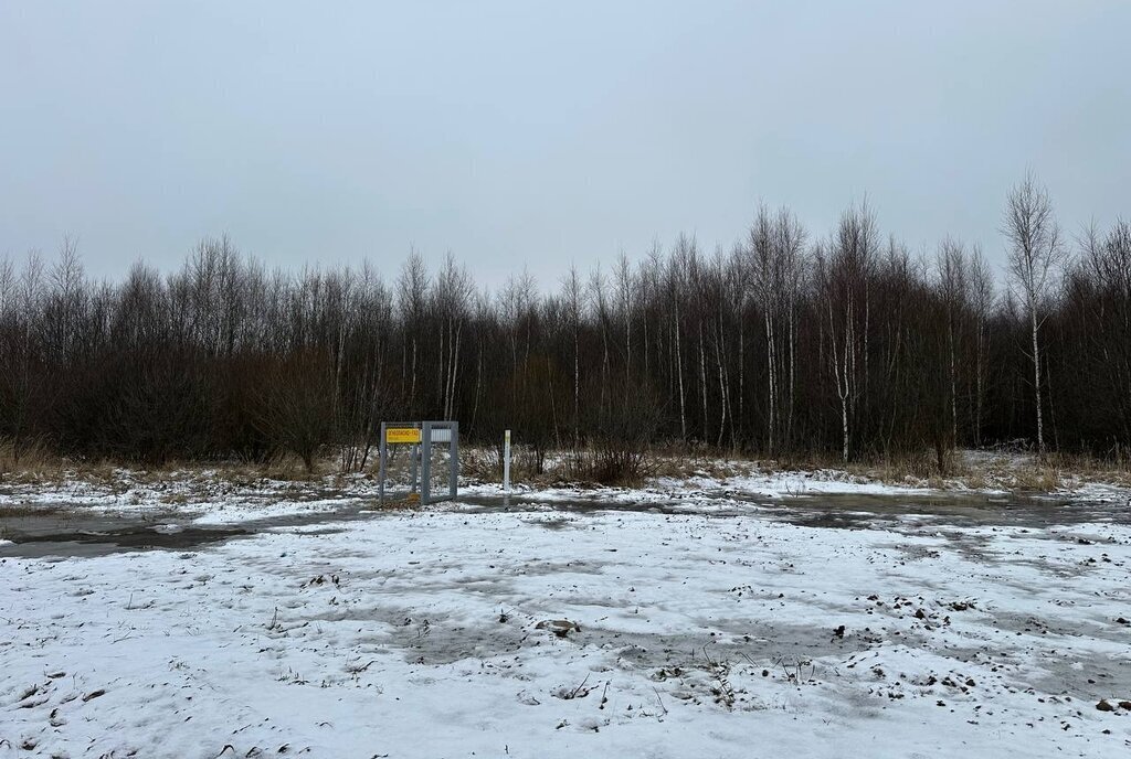 земля городской округ Раменский с Никулино фото 1