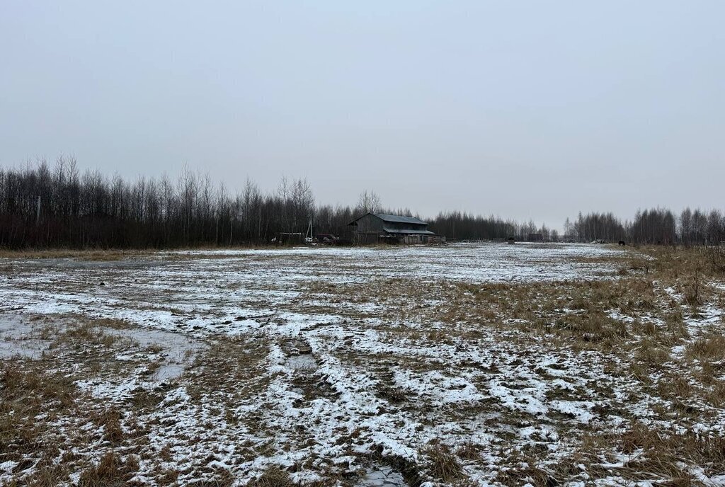 земля городской округ Раменский с Никулино фото 18