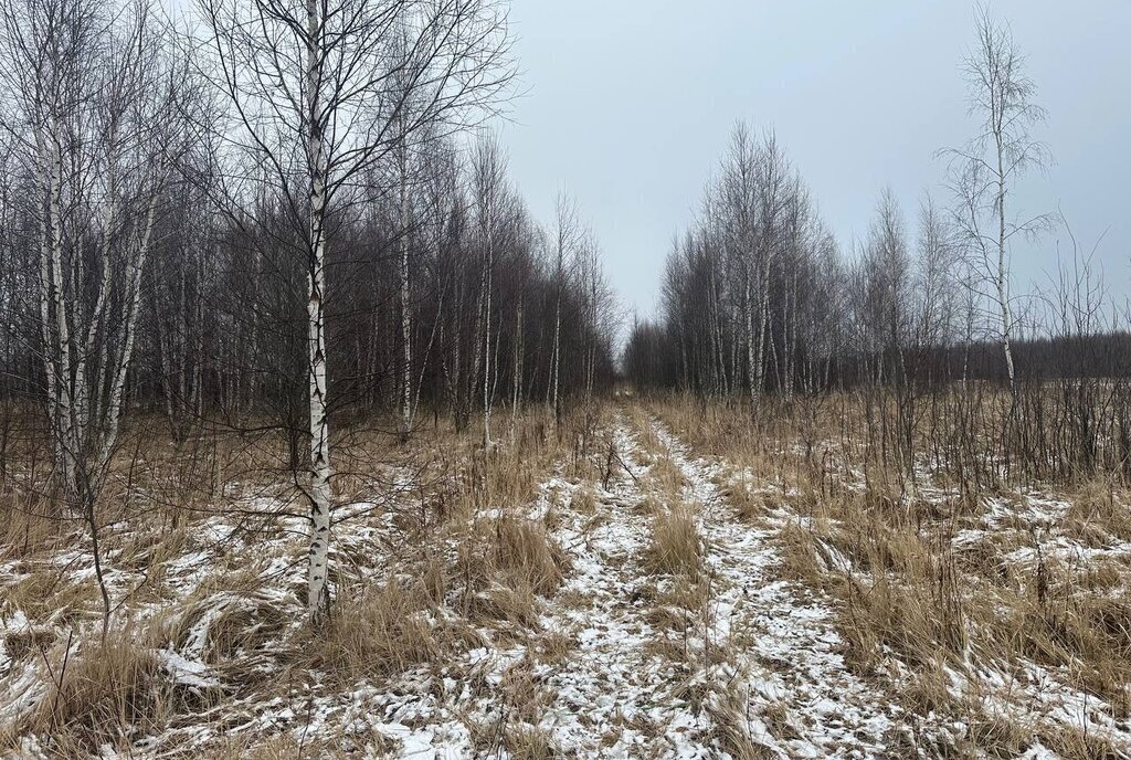 земля городской округ Раменский с Никулино фото 19