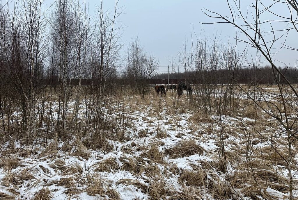 земля городской округ Раменский с Никулино фото 27