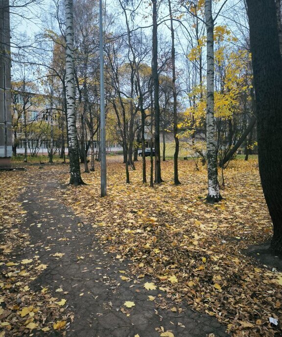 квартира г Санкт-Петербург метро Пионерская Выборгская сторона ул Омская 12 округ Ланское фото 14