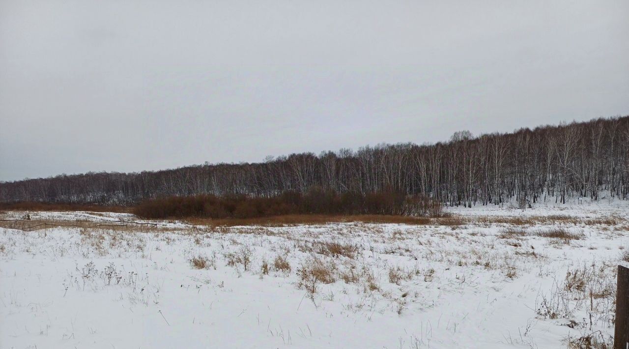 земля р-н Емельяновский д Плоское сельсовет, Устюгский фото 1