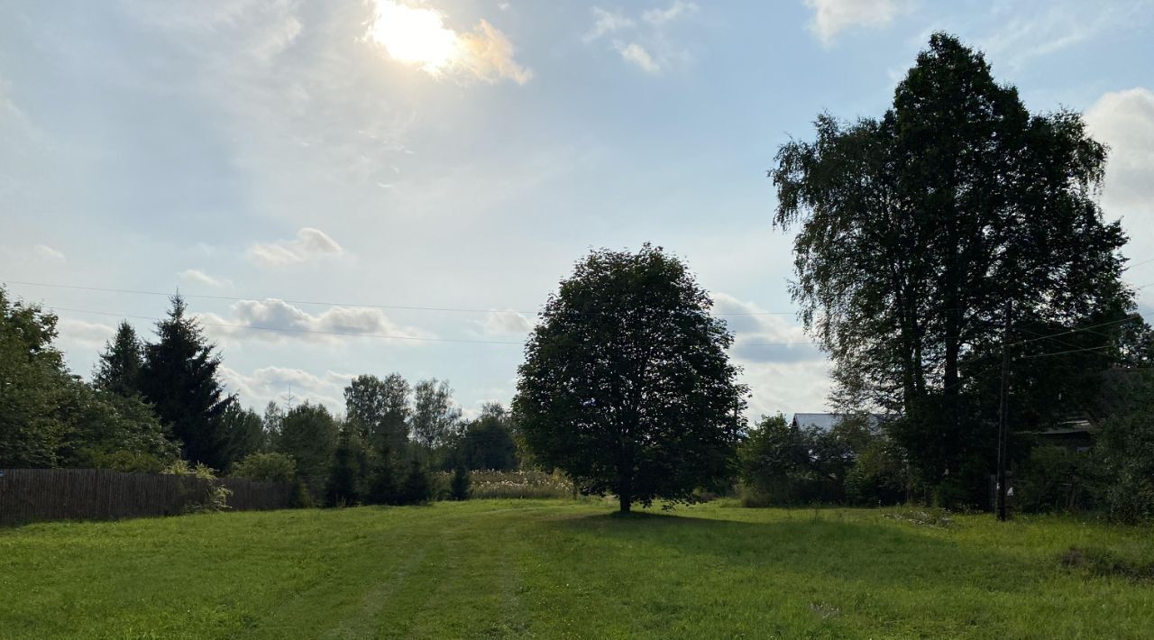 земля р-н Переславский д Елизарка Переславль-Залесский городской округ фото 8