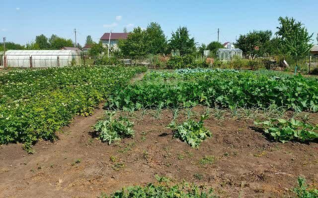 земля р-н Ставропольский с Русская Борковка ул Северная фото 1