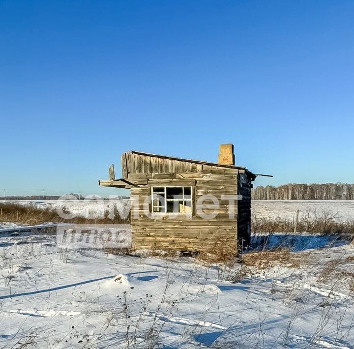 земля р-н Кемеровский д Сухая Речка ул Школьная фото 3