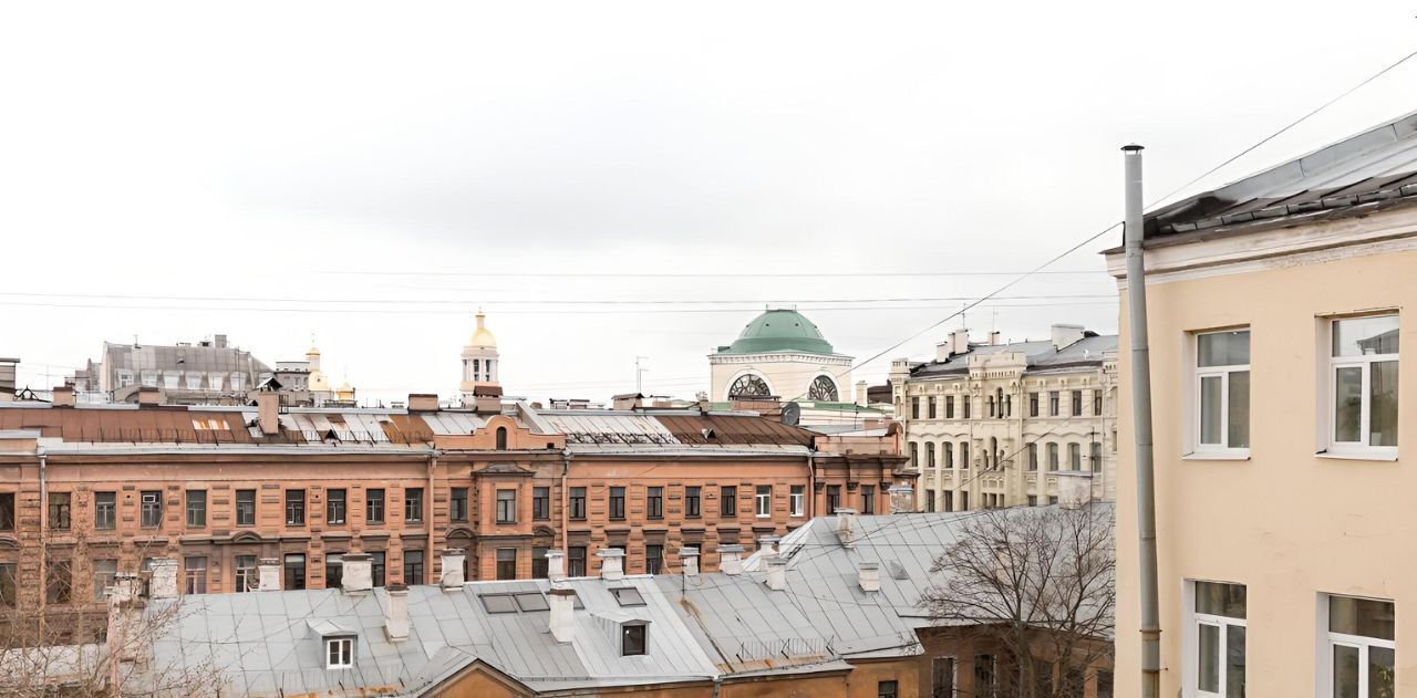 квартира г Санкт-Петербург метро Владимирская пер Кузнечный 19/21б Владимирский округ фото 10