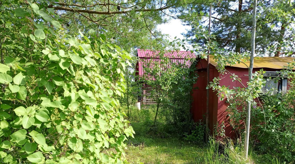 земля р-н Новгородский д Трубичино Трубичинское с/пос фото 7