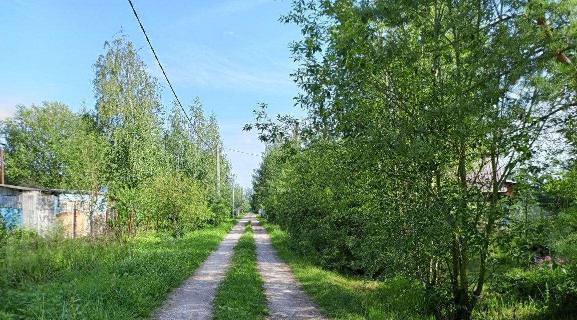 земля р-н Новгородский д Трубичино Трубичинское с/пос фото 11