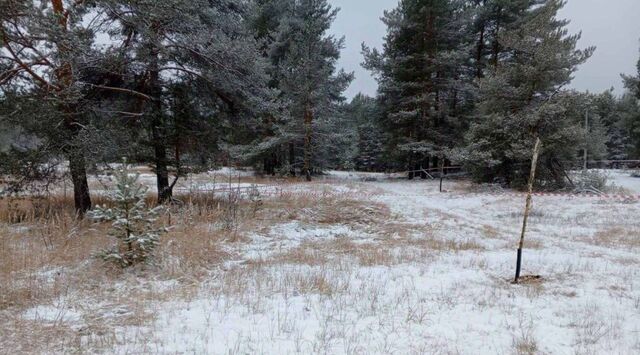 п Керженец ул Калинина с пос, Бор городской округ фото