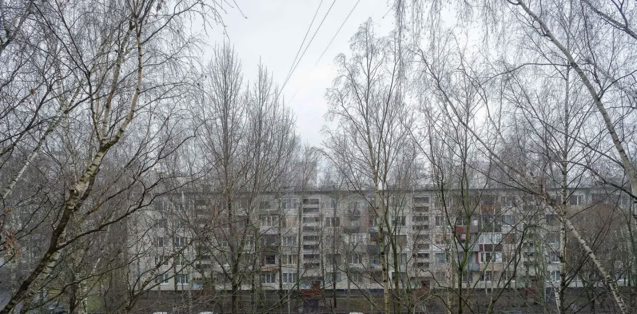 квартира г Санкт-Петербург метро Гражданский Проспект пр-кт Суздальский 109 фото 13