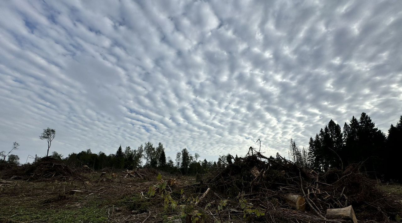 земля городской округ Клин д Тиликтино 57 фото 4