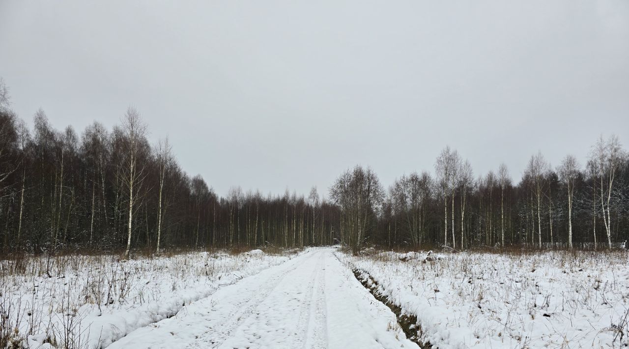 земля г Раменское снт Раменье Дмитровский городской округ фото 2