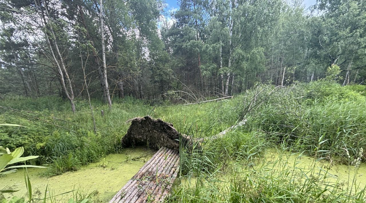 дом городской округ Воскресенск п Хорлово городской округ Воскресенск, Егорьевск - фото 13