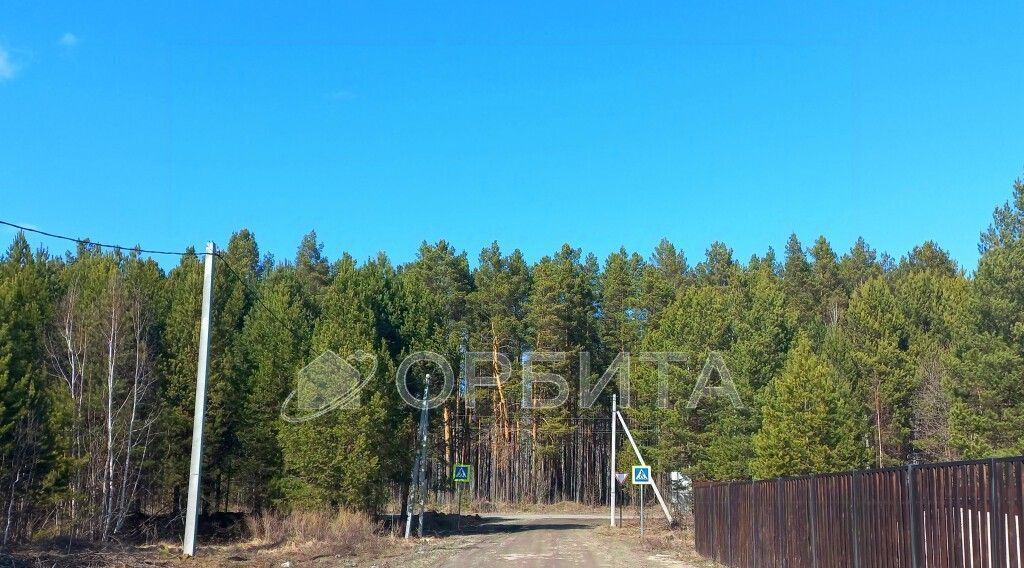 земля р-н Нижнетавдинский с Тюнево ул Весенняя фото 1