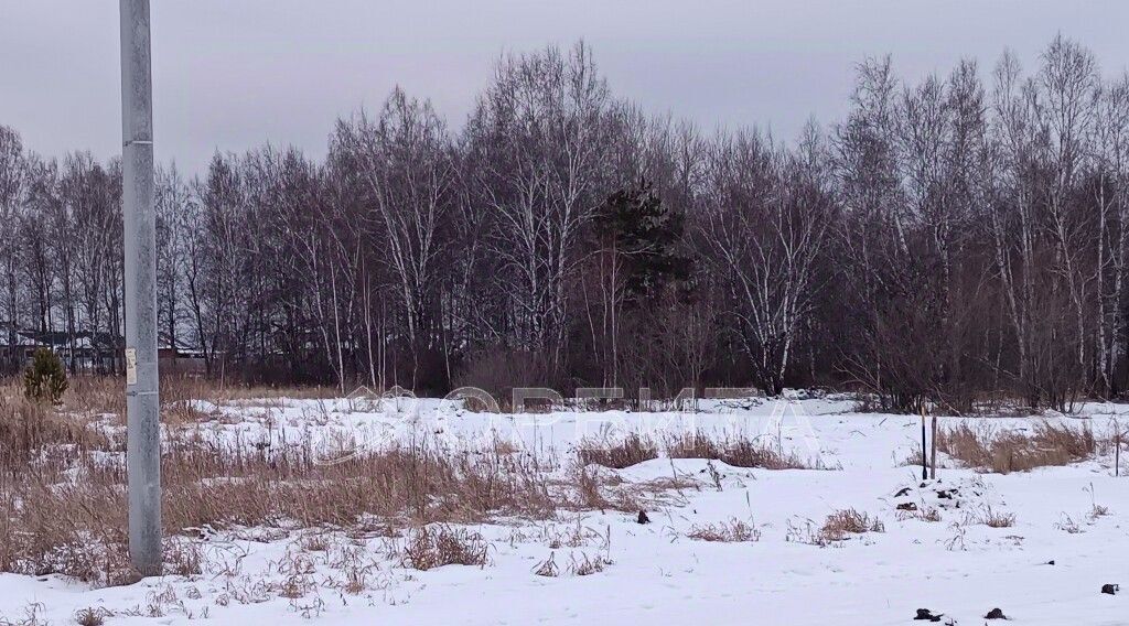 земля р-н Тюменский д Падерина ул Луговая фото 3