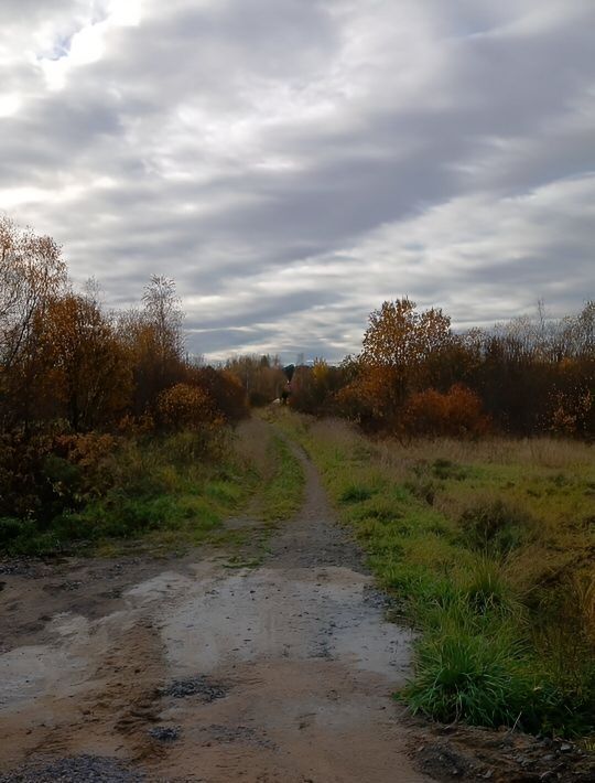 земля р-н Всеволожский массив Верхние Осельки тер Ойнелово Лесколовское с/пос, массив фото 3