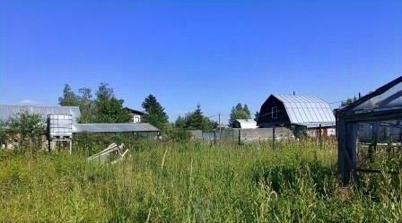 земля Форносовское городское поселение, 295, Тосненский район, Надежда СНТ фото 4