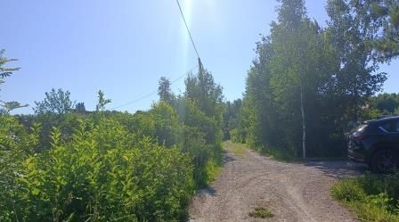 земля Форносовское городское поселение, 295, Тосненский район, Надежда СНТ фото 8