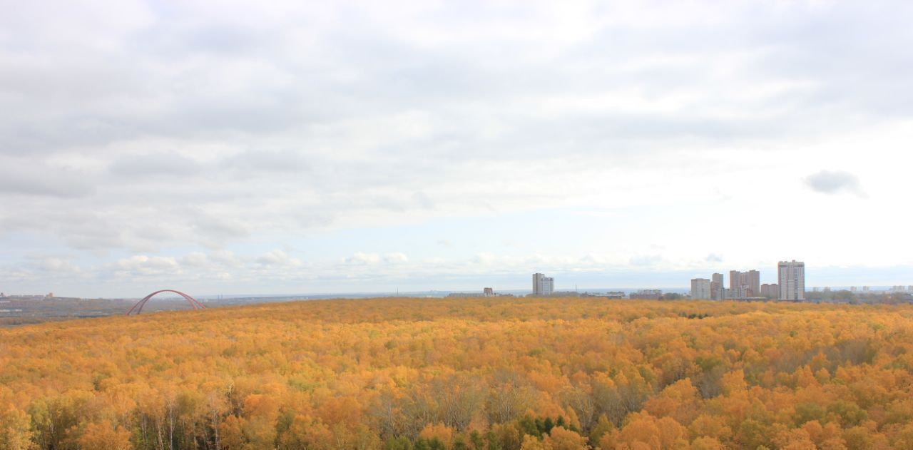 квартира г Новосибирск р-н Кировский ул Пригородная 9 Площадь Маркса фото 7