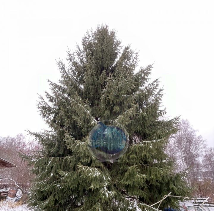 дом городской округ Ступино д Каверино снт терЭнциклопедист-2 фото 31