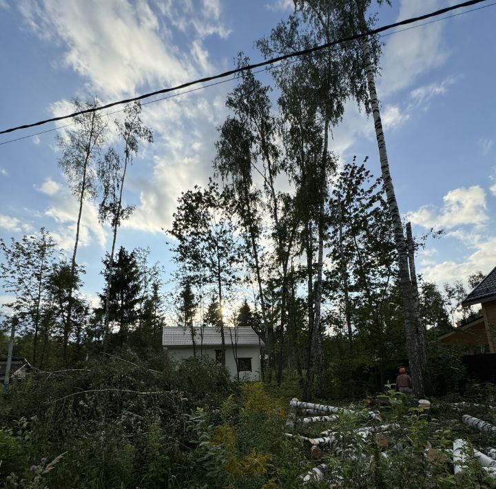 земля городской округ Раменский Володарский парк кп, 291, Домодедовская фото 2