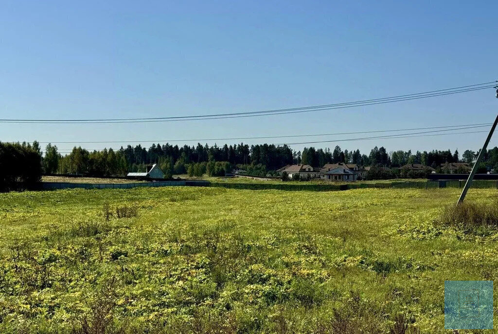 земля городской округ Солнечногорск д Бережки фото 7