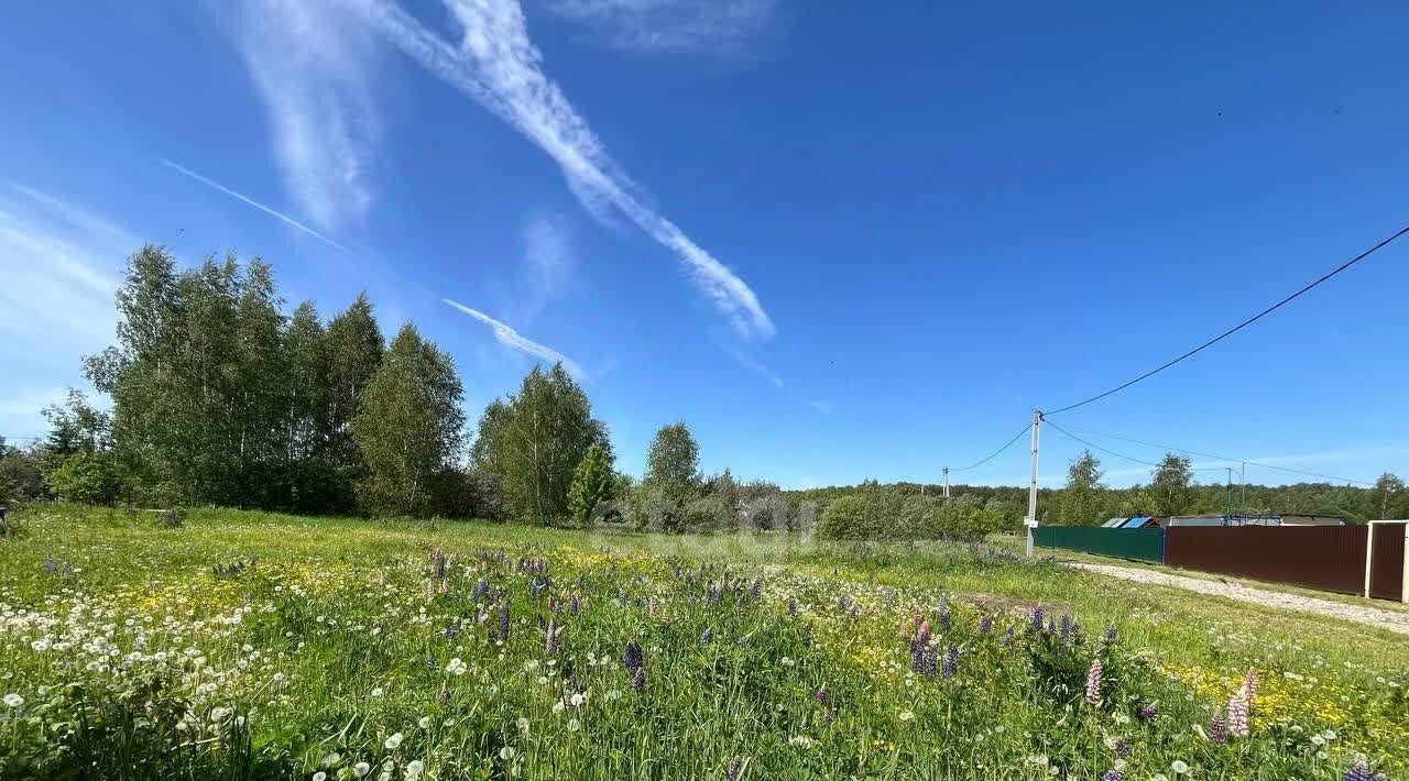 земля г Электросталь снт Дубок 101, Коломна городской округ фото 6