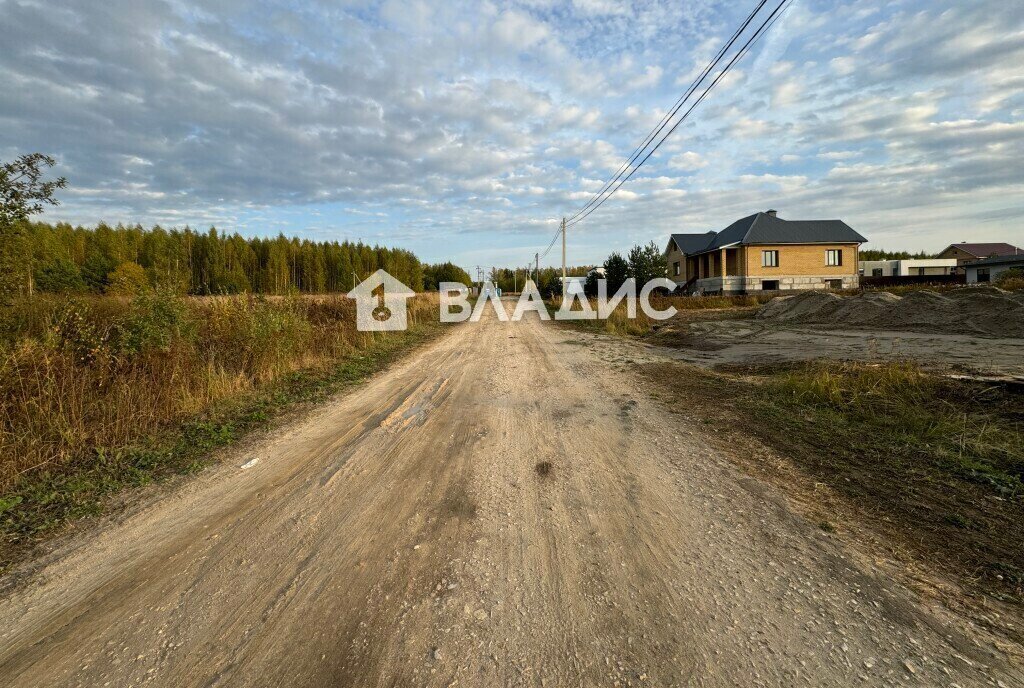 земля р-н Суздальский снт Александрия муниципальное образование Новоалександровское фото 4