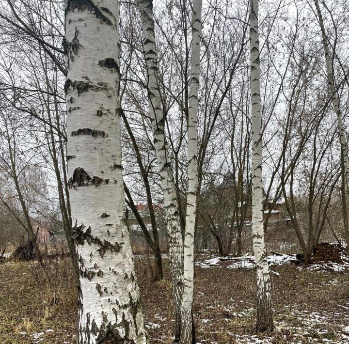 земля городской округ Красногорск д Грибаново ул Речная Павшино фото 2