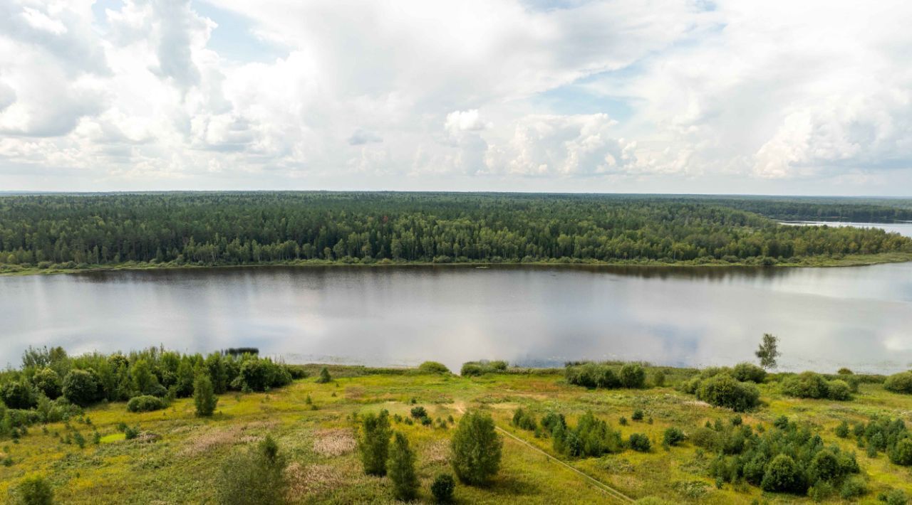 земля городской округ Клин д Подорки фото 5