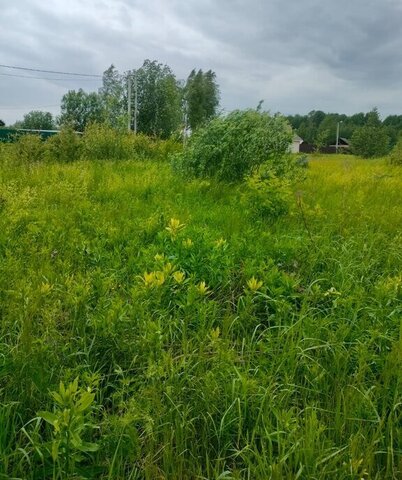 земля ДНТ Север, городской округ Щёлково, улица 9-я Линия фото