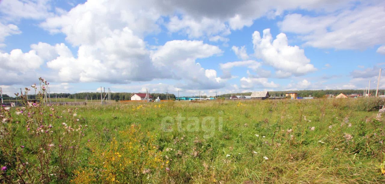 земля р-н Сосновский с Кайгородово ул Светлая Алишевское с/пос, Романовское Поместье кп фото 1