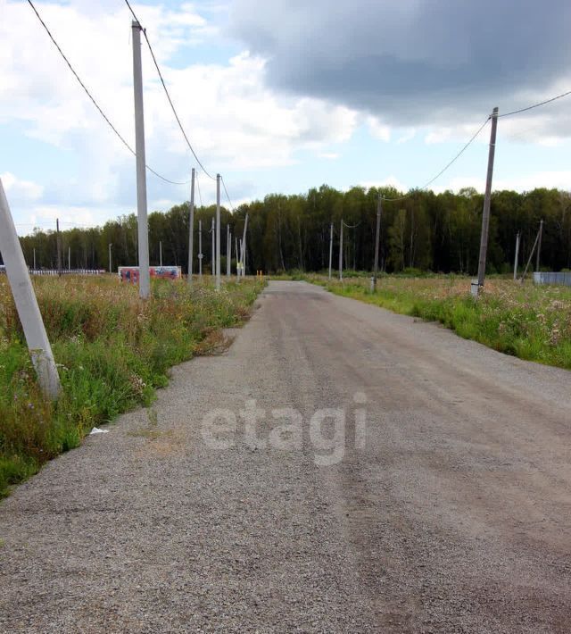 земля р-н Сосновский с Кайгородово ул Светлая Алишевское с/пос, Романовское Поместье кп фото 6