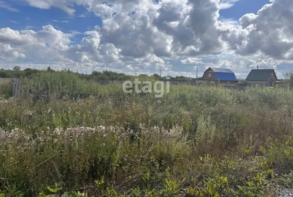 земля р-н Алапаевский п Заря ул Заринская фото 3