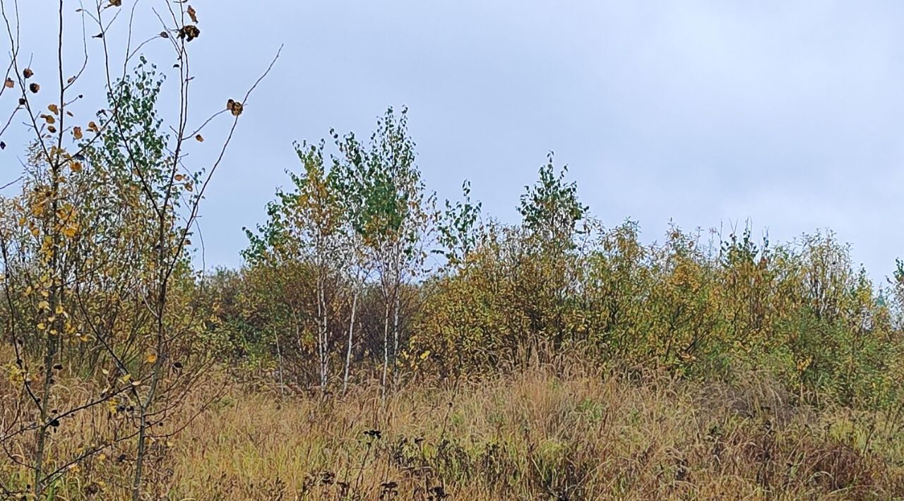 офис городской округ Раменский д Володино фото 1