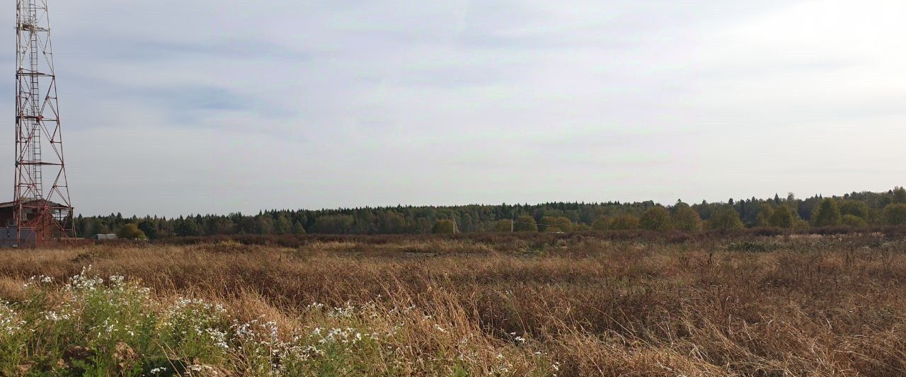 офис городской округ Сергиево-Посадский д Зубцово фото 1