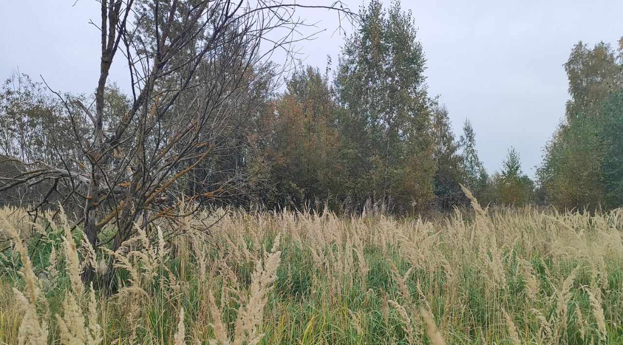 офис городской округ Раменский д Кулаково фото 1