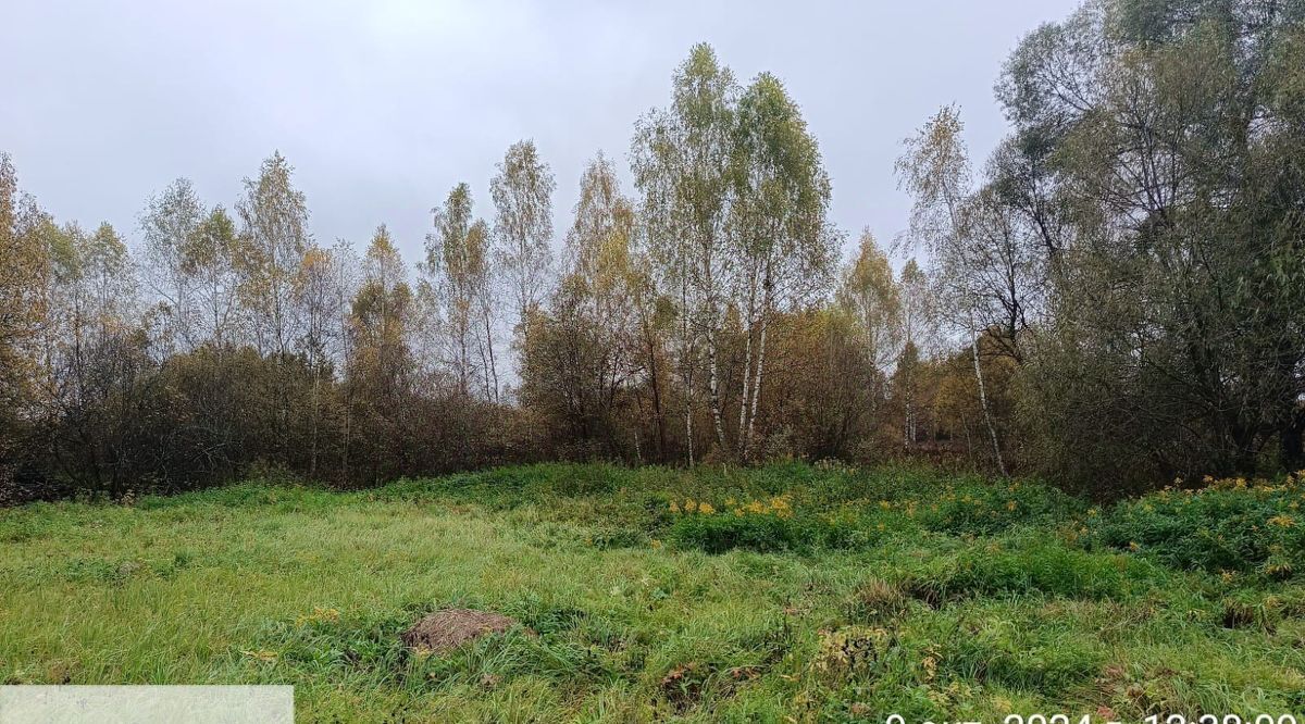 офис городской округ Можайский д Левашово ул Новая фото 1