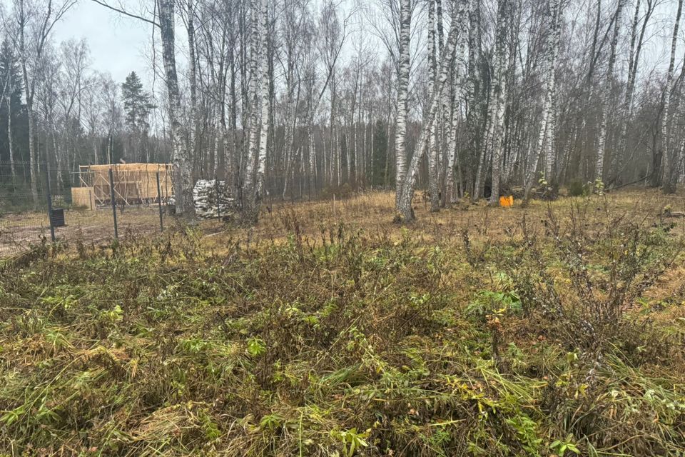 земля г Домодедово д Минаево Южный парк, Домодедово городской округ фото 2