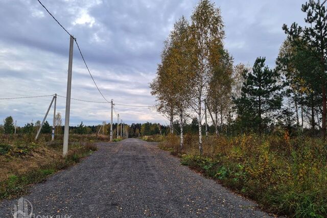 ш Ярославское Пушкинский городской округ фото