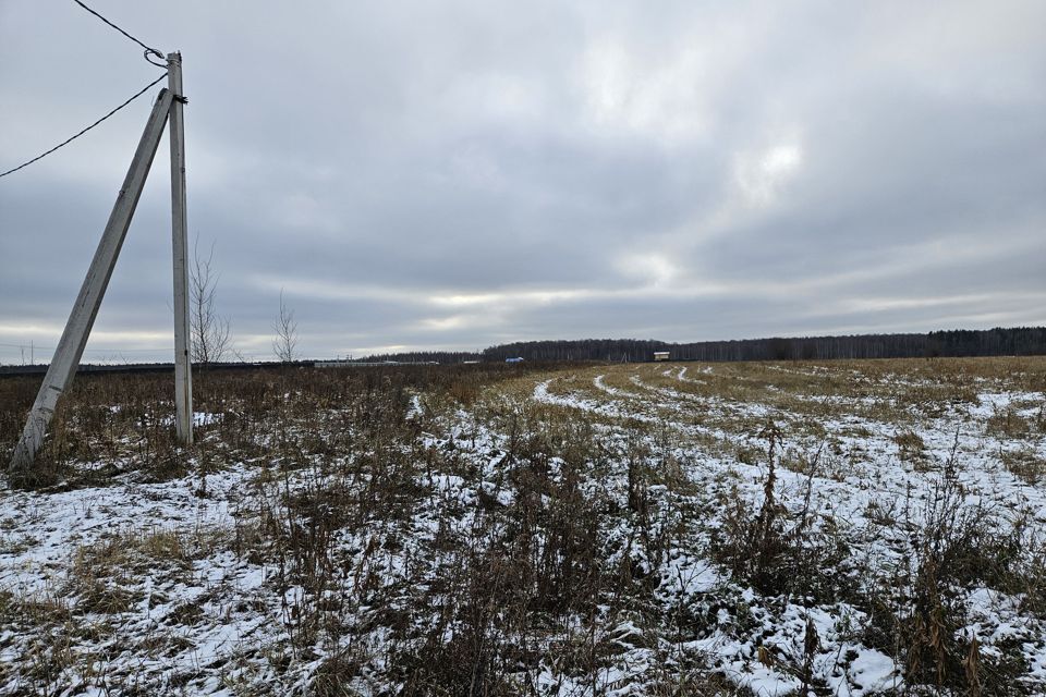 земля городской округ Домодедово д. Красино фото 4