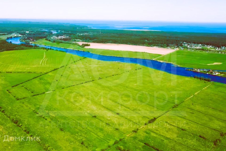 земля р-н Приозерский фото 3