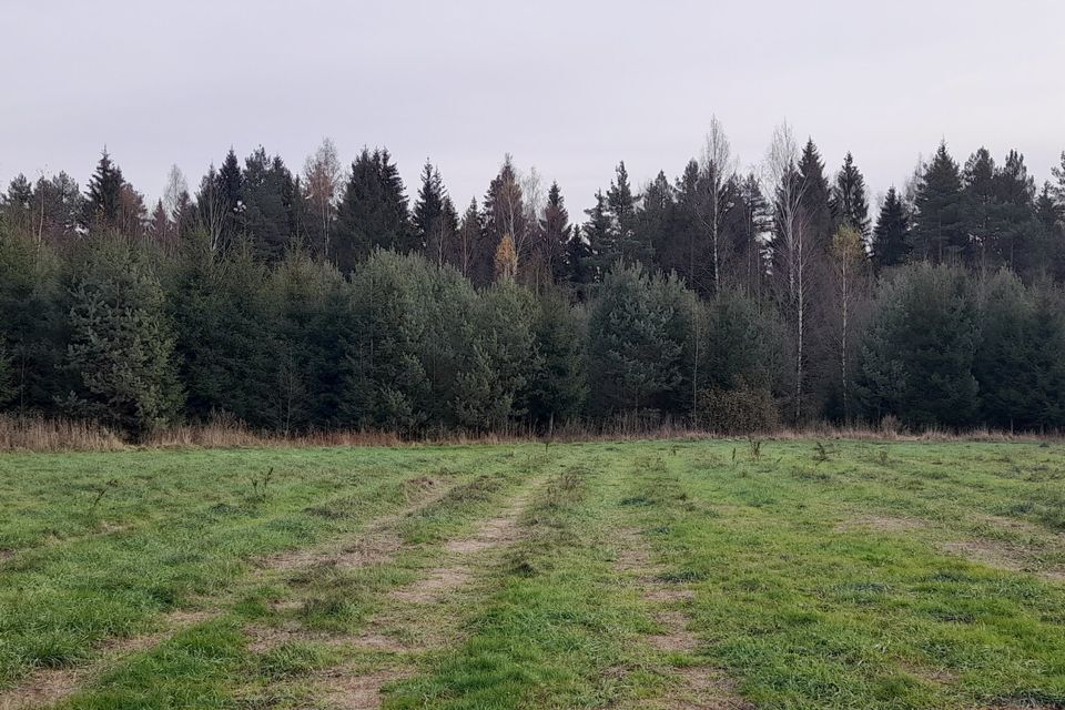 земля городской округ Клин рп. Решетниково фото 5